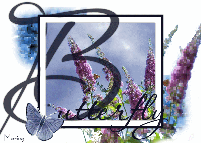 Image hébergée par Casimages.com : votre hébergeur d images simple et gratuit