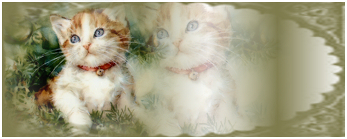 Image hébergée par Casimages.com : votre hébergeur d images simple et gratuit
