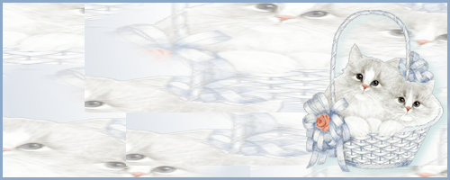 Image hébergée par Casimages.com : votre hébergeur d images simple et gratuit