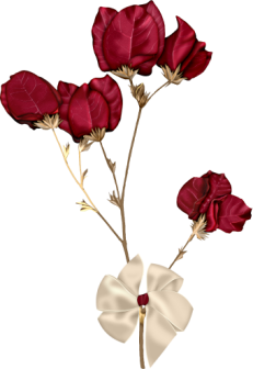 KSTDBloom