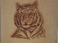 tigers
