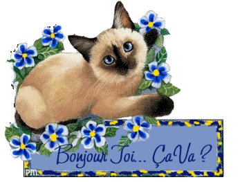Image hébergée par Casimages.com : votre hébergeur d images simple et gratuit