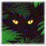Image h�berg�e par Casimages.com : votre h�bergeur d images simple et gratuit