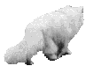 Image h�berg�e par Casimages.com : votre h�bergeur d images simple et gratuit