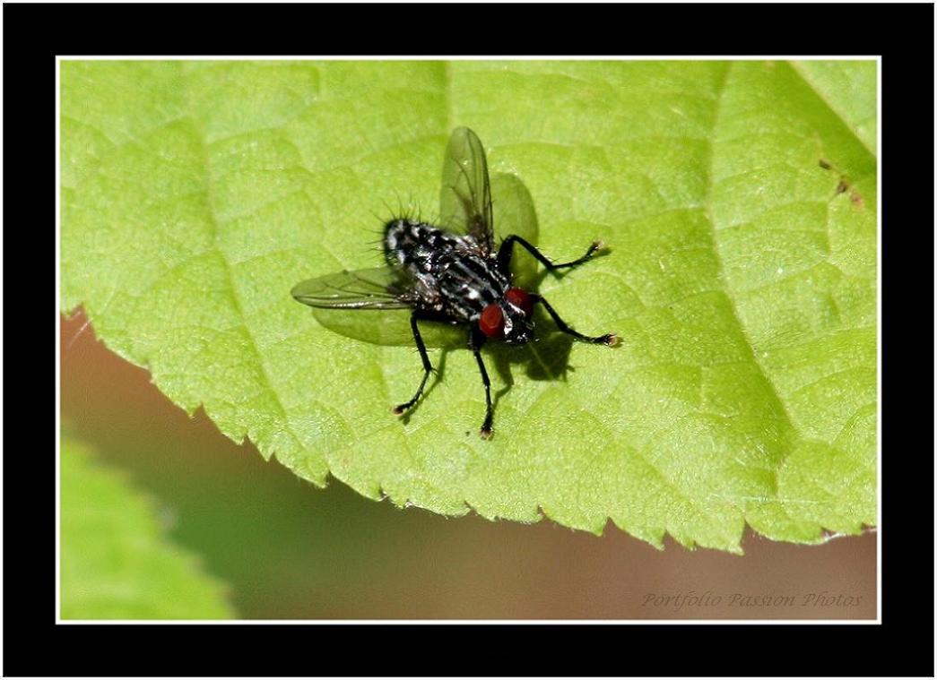 Image hébergée par Casimages.com : votre hébergeur d images simple et gratuit