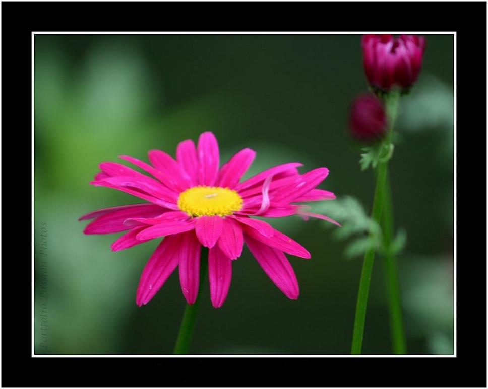 Image hébergée par Casimages.com : votre hébergeur d images simple et gratuit