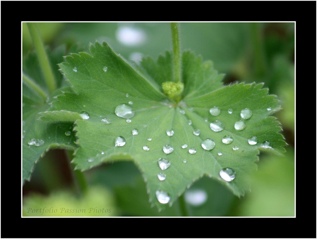 Image hébergée par Casimages.com : votre hébergeur d images simple et gratuit