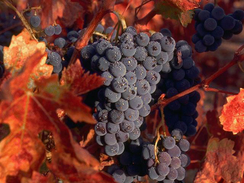 Image hébergée par Casimages.com : votre hébergeur d images simple et gratuit