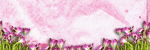 Image hébergée par Casimages.com : votre hébergeur d images simple et gratuit