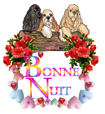 Image h�berg�e par Casimages.com : votre h�bergeur d images simple et gratuit