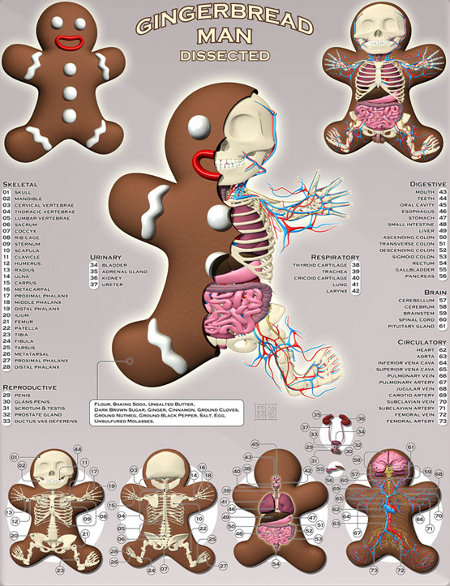 Image h�berg�e par Casimages.com : votre h�bergeur d images simple et gratuit