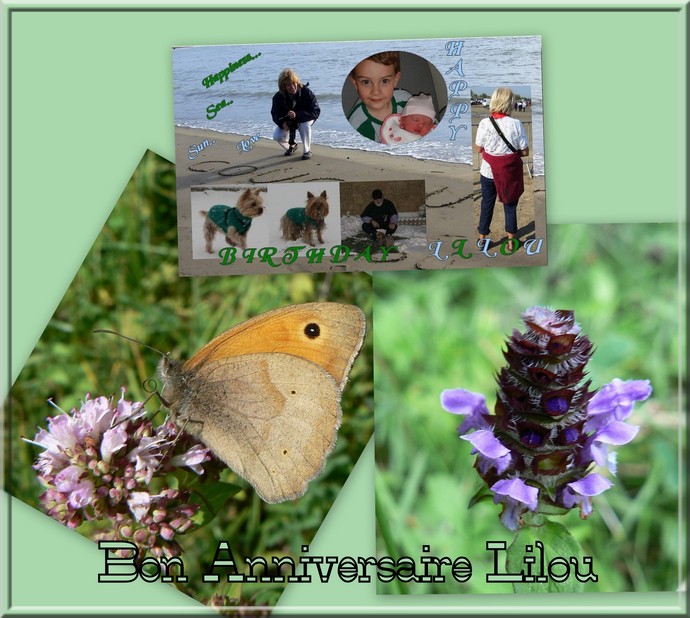 Image h�berg�e par Casimages.com : votre h�bergeur d images simple et gratuit
