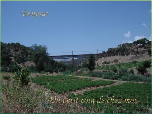 voir l'image en taille réelle