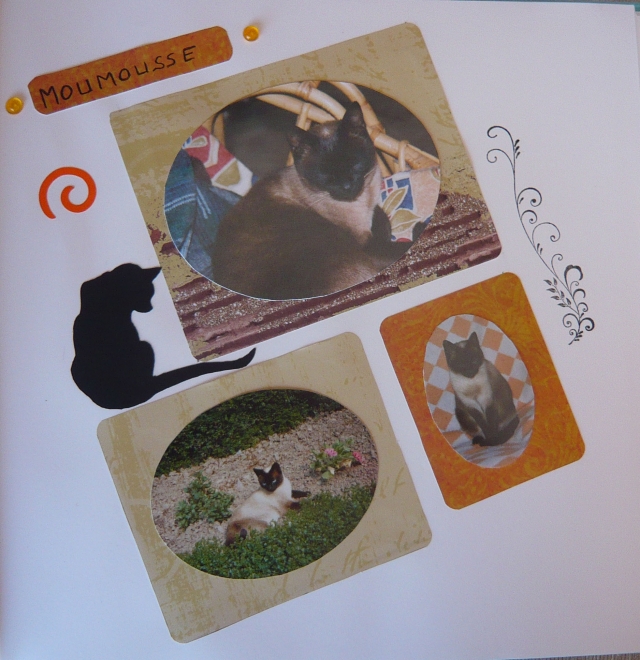 Image hébergée par Casimages.com : votre hébergeur d images simple et gratuit