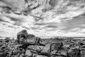 DSC_6018_19_20