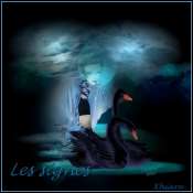 lesisgnes