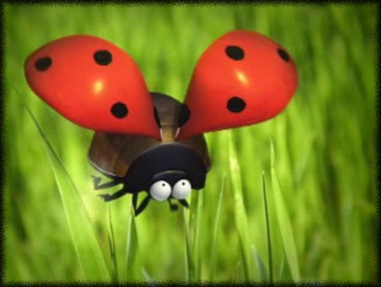 Image h�berg�e par Casimages.com : votre h�bergeur d images simple et gratuit