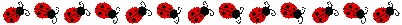Image h�berg�e par Casimages.com : votre h�bergeur d images simple et gratuit