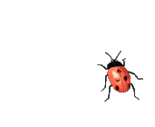 Image h�berg�e par Casimages.com : votre h�bergeur d images simple et gratuit