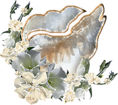 Image hébergée par Casimages.com : votre hébergeur d images simple et gratuit