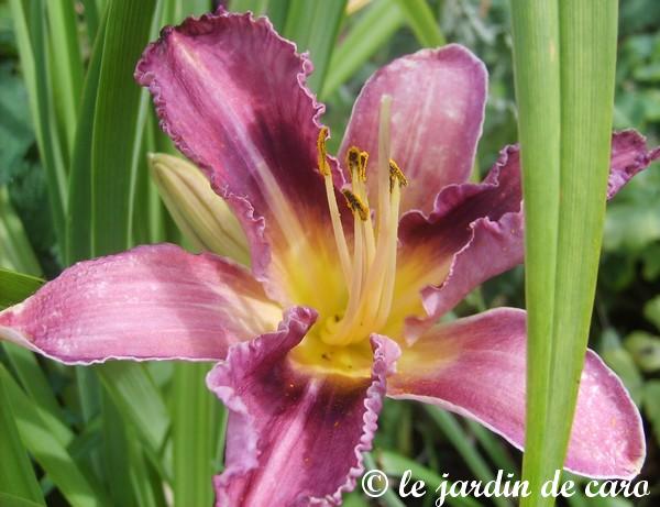 Image hébergée par Casimages.com : votre hébergeur d images simple et gratuit