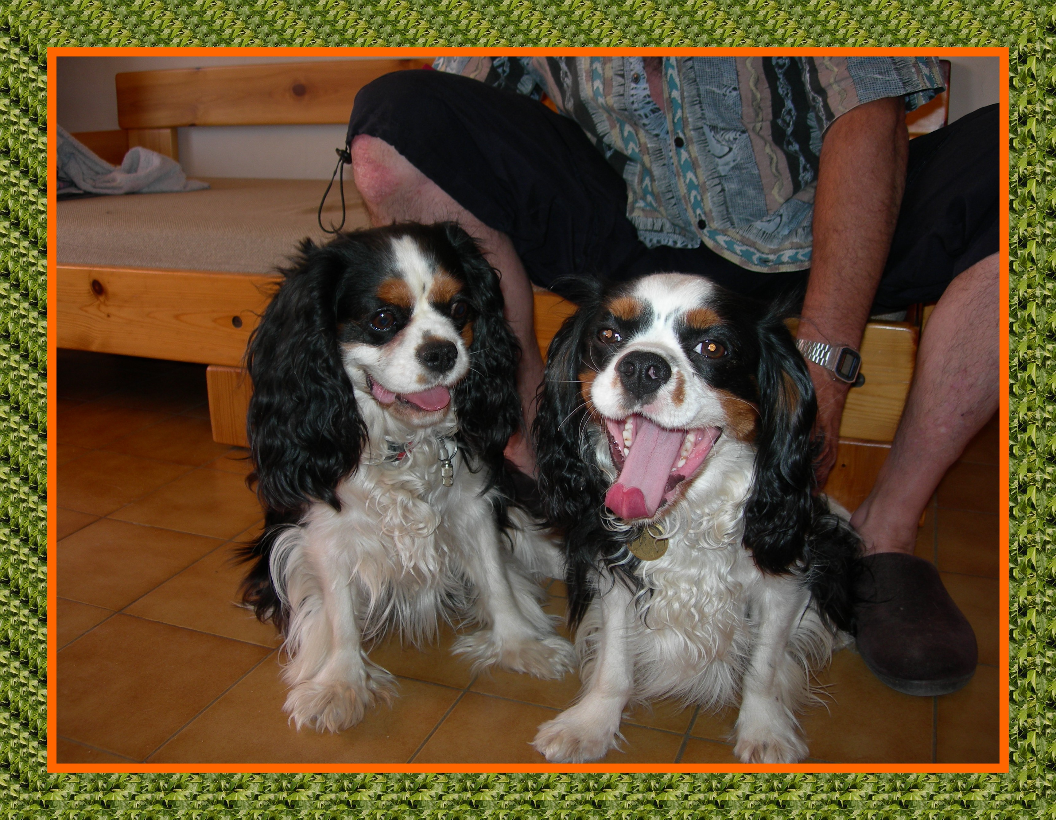 Image h�berg�e par Casimages.com : votre h�bergeur d images simple et gratuit