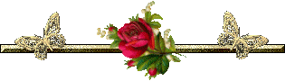090724040357766644125131.gif