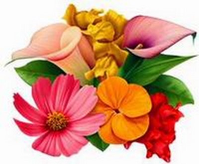 Image hébergée par Casimages.com : votre hébergeur d images simple et gratuit