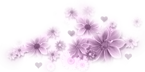 http://nsm02.casimages.com/img/2009/07/26/090726071412616284139238.png