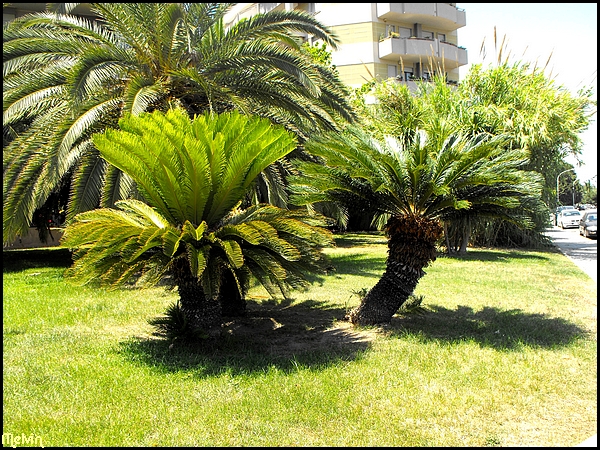 Image hébergée par Casimages.com : votre hébergeur d images simple et gratuit