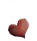 090208080750336503124132