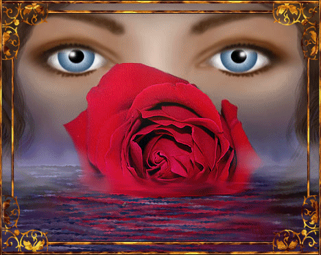 Image h�berg�e par Casimages.com : votre h�bergeur d images simple et gratuit