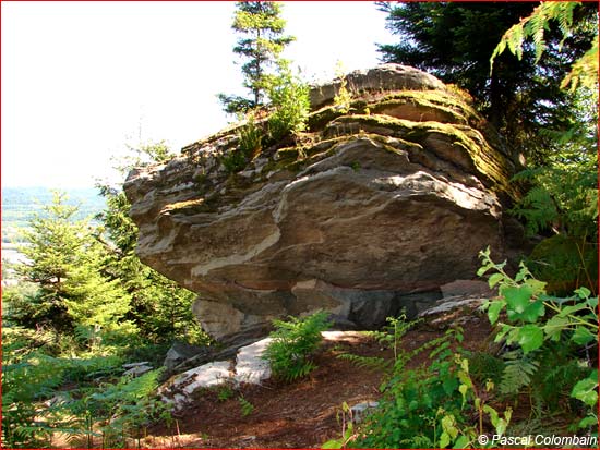 La Roche du joli bois