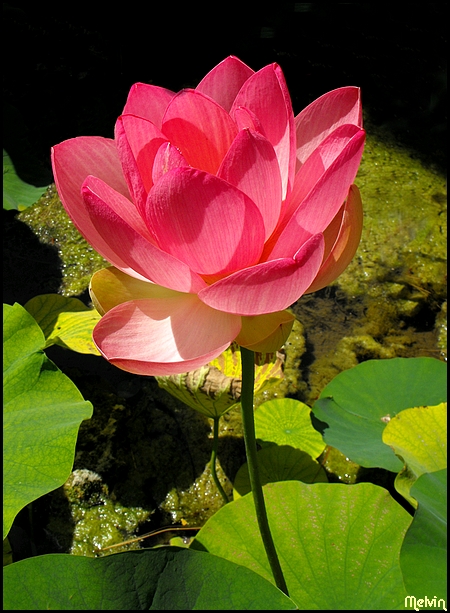 Image hébergée par Casimages.com : votre hébergeur d images simple et gratuit