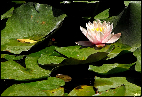 Image hébergée par Casimages.com : votre hébergeur d images simple et gratuit