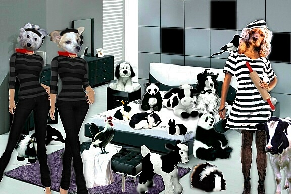 Image hébergée par Casimages.com : votre hébergeur d images simple et gratuit