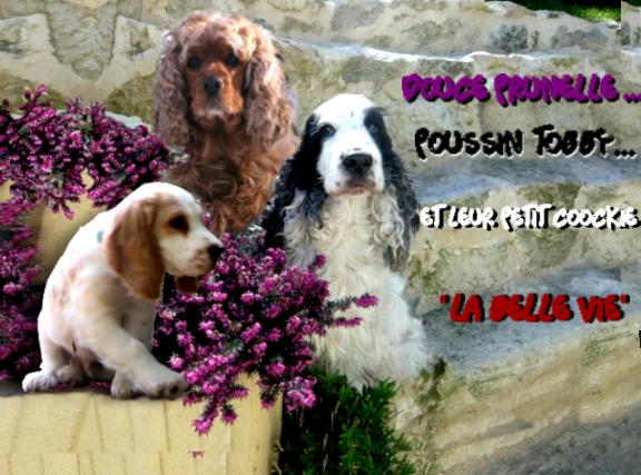 Image hébergée par Casimages.com : votre hébergeur d images simple et gratuit