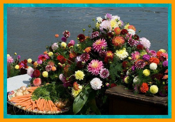 Image h�berg�e par Casimages.com : votre h�bergeur d images simple et gratuit