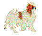 Image h�berg�e par Casimages.com : votre h�bergeur d images simple et gratuit
