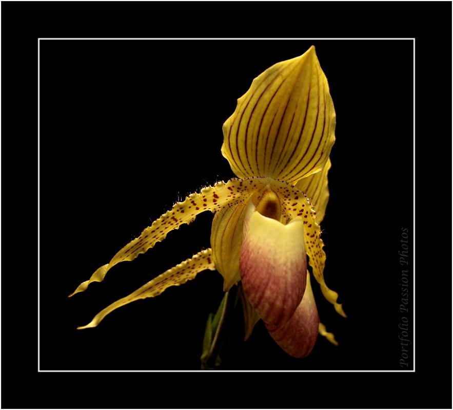 Image hébergée par Casimages.com : votre hébergeur d images simple et gratuit