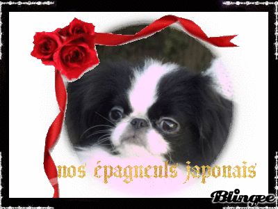 Image h�berg�e par Casimages.com : votre h�bergeur d images simple et gratuit