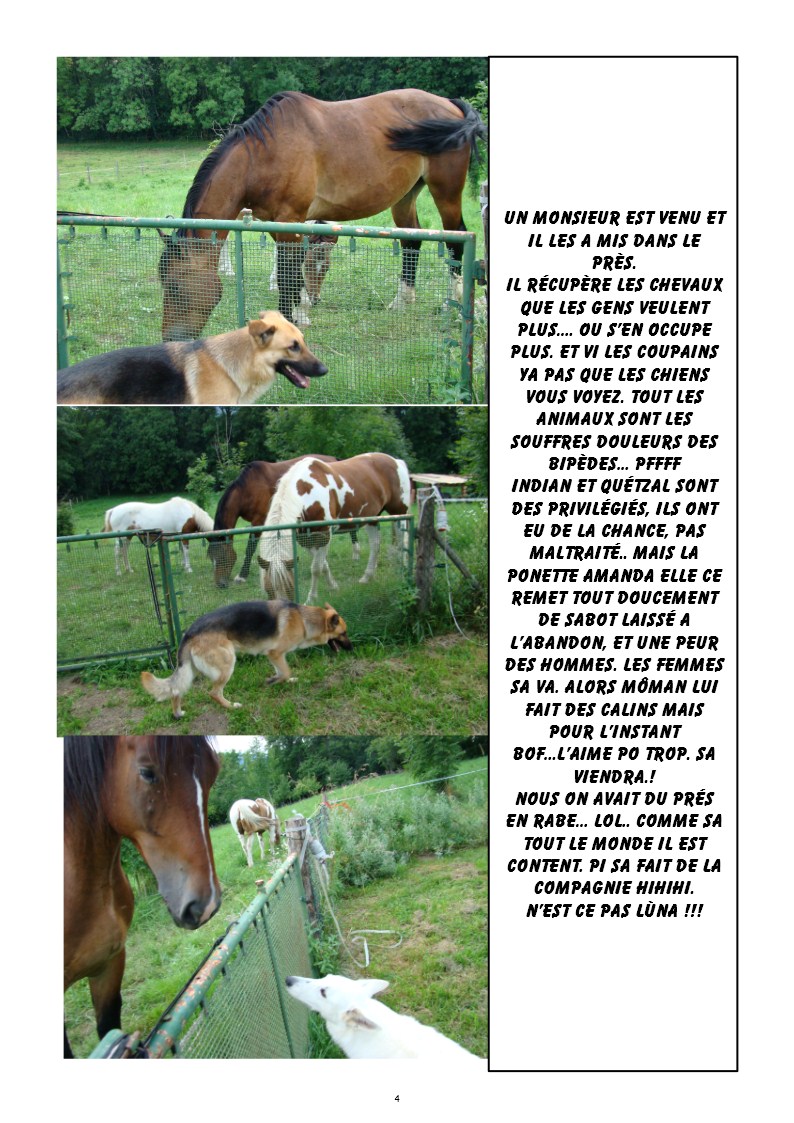 Image h�berg�e par Casimages.com : votre h�bergeur d images simple et gratuit