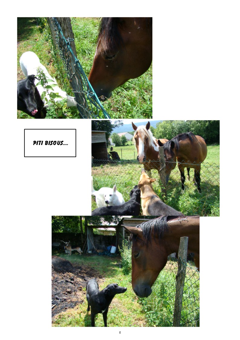 Image h�berg�e par Casimages.com : votre h�bergeur d images simple et gratuit