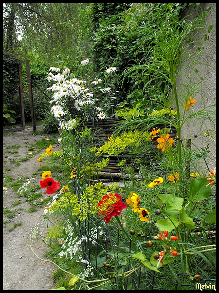Image hébergée par Casimages.com : votre hébergeur d images simple et gratuit