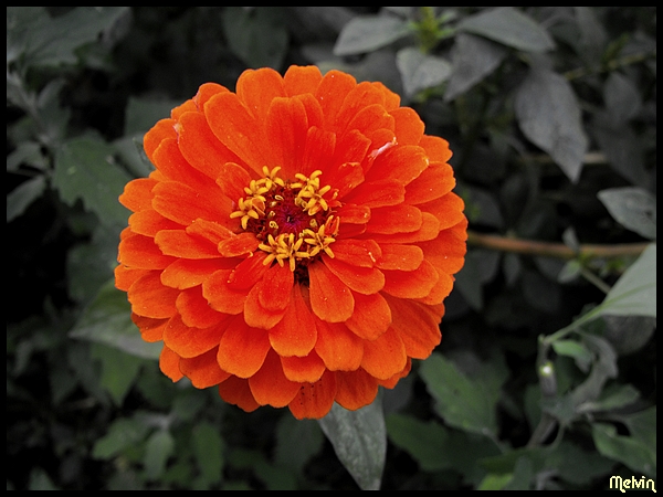 Image hébergée par Casimages.com : votre hébergeur d images simple et gratuit