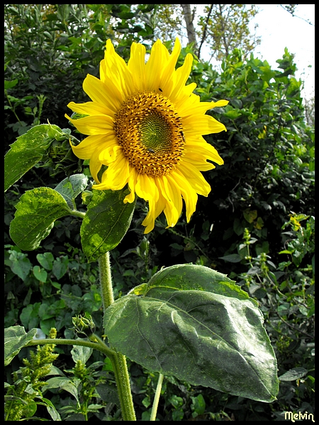 Image hébergée par Casimages.com : votre hébergeur d images simple et gratuit