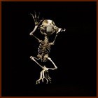 Image h�berg�e par Casimages.com : votre h�bergeur d images simple et gratuit