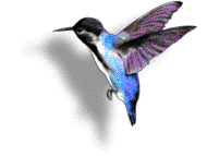 Image h�berg�e par Casimages.com : votre h�bergeur d images simple et gratuit