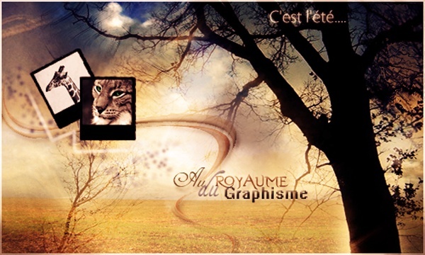 Royaume du Graphisme