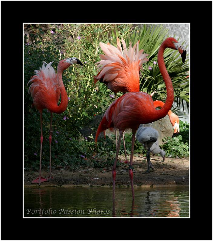 Image hébergée par Casimages.com : votre hébergeur d images simple et gratuit